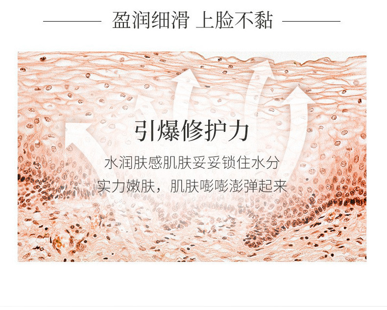抗皱嫩肤霜_08.jpg